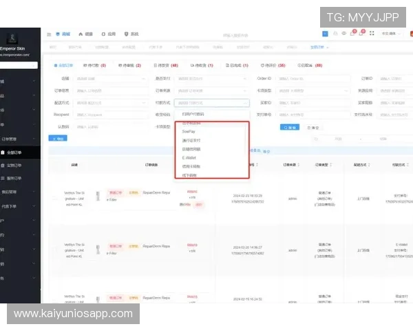 云开线上登陆优化建议提升登录速度和用户体验的实用方法